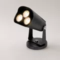 Balga