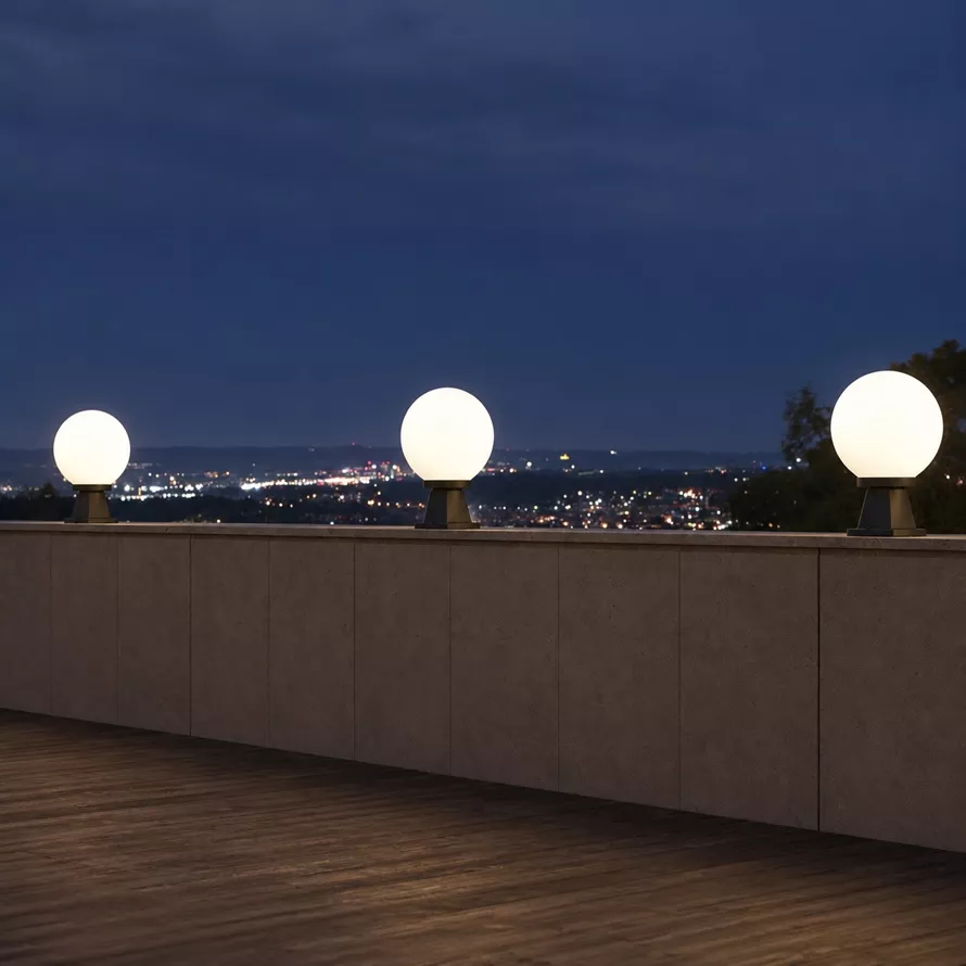 Globe - Disma